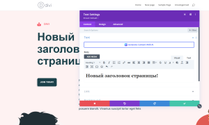 Обзор Divi – лучшей премиальной темы WordPress | WESPE CLUB