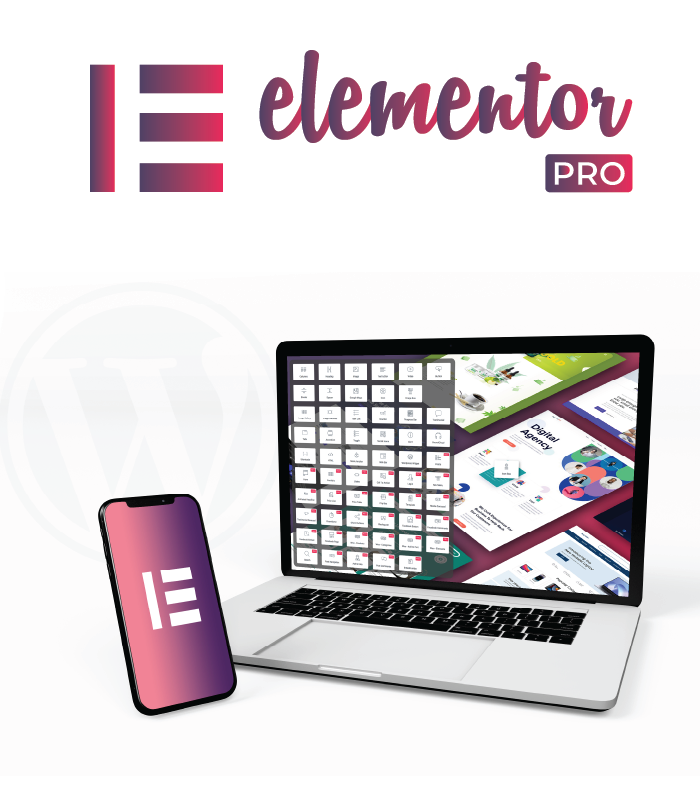 Elementor pro | WESPE CLUB